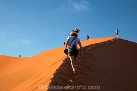 adventure;adventurous;Africa;African;arid;big-dunes;Dead-vlei;Deadvlei;desert;deserts;dry;dune;dunes;giant-dune;giant-dunes;giant-sand-dune;giant-sand-dunes;holiday;holidays;hot;huge-dunes;large-dunes;Namib-Desert;Namib-Naukluft-N.P.;Namib-Naukluft-National-Park;Namib-Naukluft-NP;Namib_Naukluft-N.P.;Namib_Naukluft-National-Park;Namib_Naukluft-NP;Namibia;national-park;national-parks;natural;orange-sand;people;person;remote;remoteness;reserve;reserves;sand;sand-dune;sand-dunes;sand-hill;sand-hills;sand_dune;sand_dunes;sand_hill;sand_hills;sanddune;sanddunes;sandhill;sandhills;sandy;Sossusvlei;Southern-Africa;tourism;tourist;tourists;wilderness