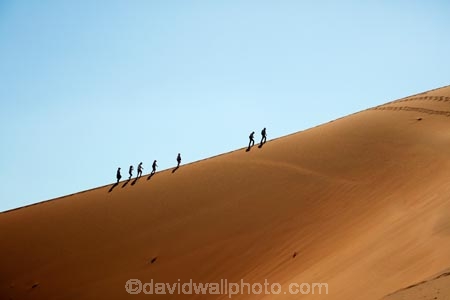 adventure;adventurous;Africa;African;arid;big-dunes;Dead-vlei;Deadvlei;desert;deserts;dry;dune;dunes;giant-dune;giant-dunes;giant-sand-dune;giant-sand-dunes;holiday;holidays;hot;huge-dunes;large-dunes;Namib-Desert;Namib-Naukluft-N.P.;Namib-Naukluft-National-Park;Namib-Naukluft-NP;Namib_Naukluft-N.P.;Namib_Naukluft-National-Park;Namib_Naukluft-NP;Namibia;national-park;national-parks;natural;orange-sand;people;person;remote;remoteness;reserve;reserves;sand;sand-dune;sand-dunes;sand-hill;sand-hills;sand_dune;sand_dunes;sand_hill;sand_hills;sanddune;sanddunes;sandhill;sandhills;sandy;Sossusvlei;Southern-Africa;tourism;tourist;tourists;wilderness