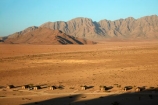 accommodation;Africa;African;Desert-Camp;desert-plain;holiday;holiday-resort;holiday-resorts;holidays;hotel;hotels;koppie;koppies;mountain;mountains;mountians;Mt-Naukluftberge;Namib-Desert;Namibia;plain;range;resort;resort-hotel;resort-hotels;resorts;Sesriem;Southern-Africa;vacation;vacations;View