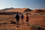 Africa;arid;big-dunes;children;Dead-Vlei;Deadvlei;desert;deserts;dry;dune;dunes;families;family;family-holiday;family-holidays;giant-dune;giant-dunes;giant-sand-dune;giant-sand-dunes;holiday;holidays;hot;huge-dunes;large-dunes;Namib-Desert;Namib-Naukluft-N.P.;Namib-Naukluft-National-Park;Namib-Naukluft-NP;Namib_Naukluft-N.P.;Namib_Naukluft-National-Park;Namib_Naukluft-NP;Namibia;national-park;national-parks;natural;orange-sand;people;person;remote;remoteness;reserve;reserves;sand;sand-dune;sand-dunes;sand-hill;sand-hills;sand_dune;sand_dunes;sand_hill;sand_hills;sanddune;sanddunes;sandhill;sandhills;sandy;Sossusvlei;Southern-Africa;tourism;tourist;tourists;wilderness
