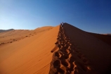 Africa;arid;big-dunes;children;Dead-vlei;Deadvlei;desert;deserts;dry;dune;dunes;families;family;family-holiday;family-holidays;giant-dune;giant-dunes;giant-sand-dune;giant-sand-dunes;holiday;holidays;hot;huge-dunes;large-dunes;Namib-Desert;Namib-Naukluft-N.P.;Namib-Naukluft-National-Park;Namib-Naukluft-NP;Namib_Naukluft-N.P.;Namib_Naukluft-National-Park;Namib_Naukluft-NP;Namibia;national-park;national-parks;natural;orange-sand;people;person;remote;remoteness;reserve;reserves;sand;sand-dune;sand-dunes;sand-hill;sand-hills;sand_dune;sand_dunes;sand_hill;sand_hills;sanddune;sanddunes;sandhill;sandhills;sandy;Sossusvlei;Southern-Africa;tourism;tourist;tourists;wilderness