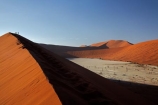 adventure;adventurous;Africa;arid;big-dunes;children;clay-pan;clay-pans;Dead-Vlei;Deadvlei;desert;deserts;dry;dune;dunes;families;family;family-holiday;family-holidays;giant-dune;giant-dunes;giant-sand-dune;giant-sand-dunes;holiday;holidays;hot;huge-dunes;large-dunes;Namib-Desert;Namib-Naukluft-N.P.;Namib-Naukluft-National-Park;Namib-Naukluft-NP;Namib_Naukluft-N.P.;Namib_Naukluft-National-Park;Namib_Naukluft-NP;Namibia;national-park;national-parks;natural;orange-sand;pan;people;person;remote;remoteness;reserve;reserves;salt-pan;salt-pans;sand;sand-dune;sand-dunes;sand-hill;sand-hills;sand_dune;sand_dunes;sand_hill;sand_hills;sanddune;sanddunes;sandhill;sandhills;sandy;Sossusvlei;Southern-Africa;tourism;tourist;tourists;vlei;white-clay-pan;wilderness