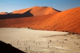 900-year-old-trees;Africa;arid;big-dunes;clay-pan;clay-pans;dead-tree;dead-trees;Dead-Vlei;Deadvlei;desert;deserts;dry;dry-lake;dry-lake-bed;dry-lake-beds;dry-lakes;dune;dunes;giant-dune;giant-dunes;giant-sand-dune;giant-sand-dunes;hot;huge-dunes;lake-bed;large-dunes;Namib-Desert;Namib-Naukluft-N.P.;Namib-Naukluft-National-Park;Namib-Naukluft-NP;Namib_Naukluft-N.P.;Namib_Naukluft-National-Park;Namib_Naukluft-NP;Namibia;national-park;national-parks;natural;orange-sand;pan;people;person;remote;remoteness;reserve;reserves;salt-pan;salt-pans;sand;sand-dune;sand-dunes;sand-hill;sand-hills;sand_dune;sand_dunes;sand_hill;sand_hills;sanddune;sanddunes;sandhill;sandhills;sandy;Sossusvlei;Southern-Africa;tourism;tourist;tourists;tree-trunk;tree-trunks;vlei;white-clay-pan;wilderness