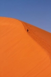 adventure;adventurous;Africa;arid;big-dunes;desert;deserts;dry;dune;Dune-45;Dune-Forty-Five;dunes;giant-dune;giant-dunes;giant-sand-dune;giant-sand-dunes;hot;huge-dunes;large-dunes;Namib-Desert;Namib-Naukluft-N.P.;Namib-Naukluft-National-Park;Namib-Naukluft-NP;Namib_Naukluft-N.P.;Namib_Naukluft-National-Park;Namib_Naukluft-NP;Namibia;national-park;national-parks;natural;orange-sand;people;person;remote;remoteness;reserve;reserves;sand;sand-dune;sand-dunes;sand-hill;sand-hills;sand_dune;sand_dunes;sand_hill;sand_hills;sanddune;sanddunes;sandhill;sandhills;sandy;Southern-Africa;tourism;tourist;tourists;wilderness