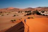 Africa;arid;big-dunes;children;desert;deserts;dry;dune;dunes;families;family;family-holiday;family-holidays;giant-dune;giant-dunes;giant-sand-dune;giant-sand-dunes;holiday;holidays;hot;huge-dunes;large-dunes;Namib-Desert;Namib-Naukluft-N.P.;Namib-Naukluft-National-Park;Namib-Naukluft-NP;Namib_Naukluft-N.P.;Namib_Naukluft-National-Park;Namib_Naukluft-NP;Namibia;national-park;national-parks;natural;orange-sand;people;person;remote;remoteness;reserve;reserves;sand;sand-dune;sand-dunes;sand-hill;sand-hills;sand_dune;sand_dunes;sand_hill;sand_hills;sanddune;sanddunes;sandhill;sandhills;sandy;Sossusvlei;Southern-Africa;tourism;tourist;tourists;wilderness