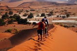 Africa;arid;big-dunes;children;desert;deserts;dry;dune;dunes;families;family;family-holiday;family-holidays;giant-dune;giant-dunes;giant-sand-dune;giant-sand-dunes;holiday;holidays;hot;huge-dunes;large-dunes;Namib-Desert;Namib-Naukluft-N.P.;Namib-Naukluft-National-Park;Namib-Naukluft-NP;Namib_Naukluft-N.P.;Namib_Naukluft-National-Park;Namib_Naukluft-NP;Namibia;national-park;national-parks;natural;orange-sand;people;person;remote;remoteness;reserve;reserves;sand;sand-dune;sand-dunes;sand-hill;sand-hills;sand_dune;sand_dunes;sand_hill;sand_hills;sanddune;sanddunes;sandhill;sandhills;sandy;Sossusvlei;Southern-Africa;tourism;tourist;tourists;wilderness