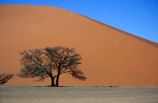 Dune-45;Namib_Naukluft-National-Park;National-Park;Namibia;Southern-Africa;Africa;african;plain;plains;landscape;sand;sand_dune;sand_dunes;sand-dune;sand-dunes;dune;dunes;sparse;empty;desert;deserted;africa;african;wilderness;sandy;vast;barren;desolate;desolation;solitude;solitary;dried;dry;outdoor;outdoors;outside;surface;surfaces;slope