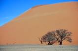 Dune-45;Namib_Naukluft-National-Park;National-Park;Namibia;Southern-Africa;Africa;african;plain;plains;landscape;sand;sand_dune;sand_dunes;sand-dune;sand-dunes;dune;dunes;sparse;empty;desert;deserts;deserted;africa;african;wilderness;sandy;vast;barren;desolate;desolation;solitude;solitary;dried;dry;outdoor;outdoors;outside;surface;surfaces;slope;arid