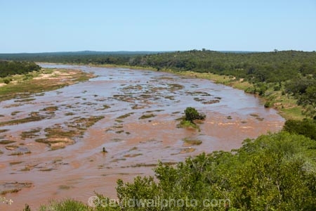 Africa;African-animals;African-wildlife;animal;animals;game-drive;game-park;game-parks;game-reserve;game-reserves;game-viewing;Great-Limpopo-Transfrontier-Park;Kruger;Kruger-N.P.;Kruger-National-Park;Kruger-NP;Kruger-reserve;Kruger-to-Canyons-Biosphere;national-park;national-parks;natural;nature;Olifants-River;Republic-of-South-Africa;reserve;reserves;river;rivers;safari;safaris;South-Africa;South-African-Republic;Southern-Africa;wild;wilderness;wildlife;wildlife-park;wildlife-parks;wildlife-reserve;wildlife-reserves