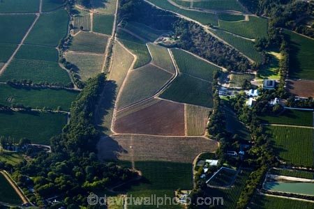 aerial;aerial-image;aerial-images;aerial-photo;aerial-photograph;aerial-photographs;aerial-photography;aerial-photos;aerial-view;aerial-views;aerials;Africa;agricultural;agriculture;Cape-Town;Constantia;country;countryside;crop;crops;cultivation;farm;farming;farmland;farms;field;fields;grape;grapes;grapevine;Groot-Constantia-Estate;Groot-Constantia-Vineyard;Groot-Constantia-Wine-Estate;horticulture;row;rows;rural;Simon’s-Restaurant;South-Africa;Southern-Africa;vine;vines;vineyard;vineyards;vintage;Western-Cape;Western-Cape-Province;wine;wine-estate;wine-estates;wineries;winery;wines