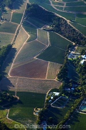 aerial;aerial-image;aerial-images;aerial-photo;aerial-photograph;aerial-photographs;aerial-photography;aerial-photos;aerial-view;aerial-views;aerials;Africa;agricultural;agriculture;Cape-Town;Constantia;country;countryside;crop;crops;cultivation;farm;farming;farmland;farms;field;fields;grape;grapes;grapevine;Groot-Constantia-Estate;Groot-Constantia-Vineyard;Groot-Constantia-Wine-Estate;horticulture;row;rows;rural;Simon’s-Restaurant;South-Africa;Southern-Africa;vine;vines;vineyard;vineyards;vintage;Western-Cape;Western-Cape-Province;wine;wine-estate;wine-estates;wineries;winery;wines