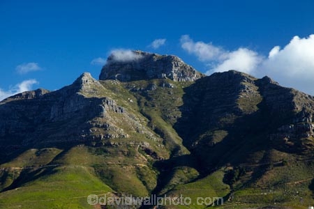 Africa;Cape-Town;Devils-Peak;Devils-Peak;national-parks;South-Africa;Southern-Africa;Table-Mountain-N.P.;Table-Mountain-National-Park;Table-Mountain-NP;Western-Cape;Western-Cape-Province