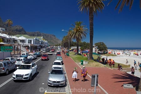 Africa;beach;beaches;Camps-Bay;Cape-Peninsula;Cape-Town;palm;palm-tree;palm-trees;palms;people;person;South-Africa;Southern-Africa;summer;traffic;Victoria-Rd;Victoria-Road;Western-Cape;Western-Cape-Province
