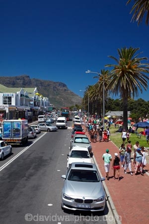 Africa;Camps-Bay;Cape-Peninsula;Cape-Town;palm;palm-tree;palm-trees;palms;people;person;South-Africa;Southern-Africa;summer;Table-Mountain;Victoria-Rd;Victoria-Road;Western-Cape;Western-Cape-Province