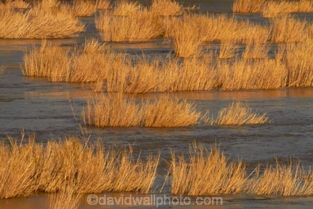 Africa;flood;flooded;game-park;game-parks;game-reserve;game-reserves;Great-Limpopo-Transfrontier-Park;Kruger;Kruger-N.P.;Kruger-National-Park;Kruger-NP;Kruger-reserve;Kruger-to-Canyons-Biosphere;Letaba-River;national-park;national-parks;Republic-of-South-Africa;river;rivers;South-Africa;South-African-Republic;Southern-Africa;wildlife-park;wildlife-parks;wildlife-reserve;wildlife-reserves