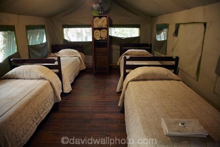 accommodation;Africa;African;bed;bedroom;bedrooms;beds;Camp;Camp-Ground;Camp-Grounds;Camp-Site;Camp-Sites;Camping;Camping-Area;Camping-Areas;Camping-Ground;Camping-Grounds;Camping-Site;Camping-Sites;canvas;canvas-tent;canvas-tents;Caravan-Park;Caravan-Parks;game-park;game-parks;game-reserve;game-reserves;Great-Limpopo-Transfrontier-Park;Holiday;Holiday-Park;Holiday-Parks;holidays;Kruger;Kruger-N.P.;Kruger-National-Park;Kruger-NP;Kruger-reserve;Kruger-to-Canyons-Biosphere;Letaba;Letaba-Camp;Letaba-Rest-Camp;lodge;lodges;national-park;national-parks;Permanent-tent;permanent-tents;Republic-of-South-Africa;resort;resorts;South-Africa;South-African-Republic;Southern-Africa;tent;tents;vacation;vacations;wildlife-park;wildlife-parks;wildlife-reserve;wildlife-reserves