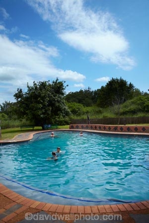 Africa;African;game-park;game-parks;game-reserve;game-reserves;Great-Limpopo-Transfrontier-Park;Kruger;Kruger-N.P.;Kruger-National-Park;Kruger-NP;Kruger-reserve;Kruger-to-Canyons-Biosphere;Lower-Sabie;Lower-Sabie-Camp;Lower-Sabie-Rest-Camp;national-park;national-parks;people;person;pool;pools;Republic-of-South-Africa;South-Africa;South-African-Republic;Southern-Africa;swim;swimmer;swimmers;swimming-pool;swimming-pools;wildlife-park;wildlife-parks;wildlife-reserve;wildlife-reserves