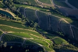 aerial;aerial-image;aerial-images;aerial-photo;aerial-photograph;aerial-photographs;aerial-photography;aerial-photos;aerial-view;aerial-views;aerials;Africa;agricultural;agriculture;Cape-Town;Constantia;country;countryside;crop;crops;cultivation;farm;farming;farmland;farms;field;fields;grape;grapes;grapevine;horticulture;pattern;patterns;row;rows;rural;South-Africa;Southern-Africa;vine;vines;vineyard;vineyards;vintage;Western-Cape;Western-Cape-Province;wine;wine-estate;wine-estates;wineries;winery;wines