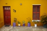 Africa;Bo-Kaap;Bo_Kaap;building;buildings;Cape-Malay;Cape-Malay-Quarter;Cape-Town;Chiappini-St;Chiappini-Street;city-bowl;color;colorful;colour;colourful;colours;communities;community;door;doors;doorway;doorways;facade;facades;heritage;historic;historic-building;historic-buildings;historical;historical-building;historical-buildings;history;home;homes;house;houses;housing;Malay-Quarter;neigborhood;neigbourhood;old;pot-plant;pot-plants;residences;residential;S.A.;South-Africa;Southern-Africa;Sth-Africa;street;streets;suburb;suburban;suburbia;suburbs;tradition;traditional;urban;Western-Cape;Western-Cape-Province;window;windows;yellow
