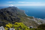 Africa;alpine-flowers;bluff;bluffs;Cape-Town;cliff;cliffs;escarpment;lookout;lookouts;national-parks;panorama;panoramas;S.A.;scene;scenes;scenic-view;scenic-views;South-Africa;Southern-Africa;Sth-Africa;Table-Mountain;Table-Mountain-N.P.;Table-Mountain-National-Park;Table-Mountain-NP;View;viewpoint;viewpoints;views;vista;vistas;Western-Cape;Western-Cape-Province;yellow-flowers