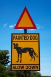 Africa;African-hunting-dog;African-hunting-dogs;African-wild-dog;African-wild-dogs;Cape-hunting-dog;Cape-hunting-dogs;game-park;game-parks;game-reserve;game-reserves;Hwange-N.P.;Hwange-National-Park;Hwange-NP;Lycaon-pictus;national-park;national-parks;ornate-wolf;ornate-wolfs;painted-dog;painted-dog-warning-sign;painted-dog-warning-signs;painted-dogs;painted-hunting-dog;painted-hunting-dogs;painted-wolf;painted-wolfs;road-sign;road-signs;road-warning-sign;road-warning-signs;sign;signs;Southern-Africa;spotted-dog;spotted-dogs;Wankie-Game-Reserve;warning-sign;warning-signs;wild-dog-warning-sign;wild-dog-warning-signs;wildlife-park;wildlife-parks;wildlife-reserve;wildlife-reserves;wildlife-sign;wildlife-signs;Zimbabwe