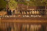 12th-century;abandon;abandoned;ancient-temple;ancient-temples;Angkor;Angkor-Archaeological-Park;Angkor-Region;Angkor-Wat;Angkor-Wat-temple;Angkor-Wat-temple-ruins;Angkor-Wat-World-Heritage-Area;Angkor-Wat-World-Heritage-Park;Angkor-Wat-World-Heritage-Site;Angkor-World-Heritage-Area;Angkor-World-Heritage-Park;Angkor-World-Heritage-Site;Ankorian-Temple;archaeological-site;archaeological-sites;Asia;Buddhist-temple;Buddhist-temples;building;buildings;calm;Cambodia;Cambodian;heritage;Hindu-Temple;Hindu-Temples;historic;historic-place;historic-places;historical;historical-place;historical-places;history;Indochina-Peninsula;Kampuchea;Khmer-Capital;Khmer-Empire;Khmer-temple;Khmer-temples;Kingdom-of-Cambodia;moat;moats;old;people;person;place-of-worship;places-of-worship;placid;Prasat-Angkor-Wat;quiet;reflected;reflection;reflections;religion;religions;religious;religious-monument;religious-monuments;religious-site;ruin;ruins;serene;Siem-Reap;Siem-Reap-Province;smooth;Southeast-Asia;still;temple-ruins;tourism;tourist;tourists;tradition;traditional;tranquil;Twelfth-century;UN-world-heritage-area;UN-world-heritage-site;UNESCO-World-Heritage-area;UNESCO-World-Heritage-Site;united-nations-world-heritage-area;united-nations-world-heritage-site;water;Western-Gopura;world-heritage;world-heritage-area;world-heritage-areas;World-Heritage-Park;World-Heritage-site;World-Heritage-Sites