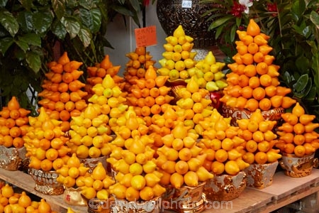 Asia;China;citrus;citrus-fruit;commerce;commercial;flower-market;flower-markets;fruit;fruits;H.K.;HK;Hong-Kong;Hong-Kong-Flower-market;Hong-Kong-Special-Administrative-Region-of-the-Peoples-Republic;Kowloon;Kowloon-Peninsula;market;market-place;market-stall;market-stalls;market_place;marketplace;marketplaces;markets;Mong-Kok;orange;Peoples-Republic-of-China;retail;retailer;retailers;shop;shopping;shops;stall;stalls;street-market;street-markets;street-scene;street-scenes