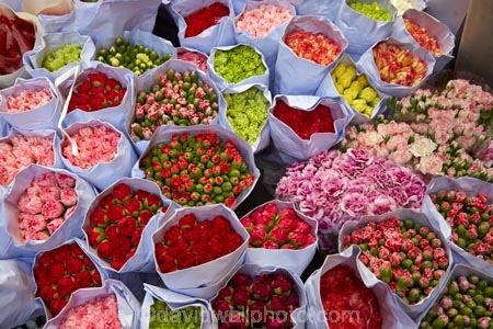Asia;bloom;blooms;China;commerce;commercial;cut-flowers;floral;flower;flower-market;flower-markets;flower-shop;flower-shops;flower-stall;flower-stalls;flowers;H.K.;HK;Hong-Kong;Hong-Kong-Flower-market;Hong-Kong-Special-Administrative-Region-of-the-Peoples-Republic;Kowloon;Kowloon-Peninsula;market;market-place;market-stall;market-stalls;market_place;marketplace;marketplaces;markets;Mong-Kok;Peoples-Republic-of-China;pink;pink-flowers;red;red-flowers;retail;retailer;retailers;shop;shopping;shops;stall;stalls;street-market;street-markets;street-scene;street-scenes