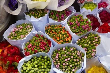 Asia;bloom;blooms;China;commerce;commercial;cut-flowers;floral;flower;flower-market;flower-markets;flower-shop;flower-shops;flower-stall;flower-stalls;flowers;H.K.;HK;Hong-Kong;Hong-Kong-Flower-market;Hong-Kong-Special-Administrative-Region-of-the-Peoples-Republic;Kowloon;Kowloon-Peninsula;market;market-place;market-stall;market-stalls;market_place;marketplace;marketplaces;markets;Mong-Kok;Peoples-Republic-of-China;pink;pink-flowers;red;red-flowers;retail;retailer;retailers;shop;shopping;shops;stall;stalls;street-market;street-markets;street-scene;street-scenes