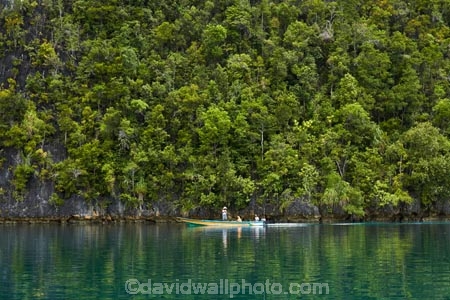 Misool;Raja-Ampat;Indonesia;Asia;Southeast-Asia;South-East-Asia;Western-Indonesia;Southwest-Papua;West-Papua;inner-archipelago;forest;forests;jungle;jungles;tropical-jungle;tropical;tropical-jungle;tropical-forest;tropical-forests;rainforest;rainforests;reflection;reflections;Longboat;longboats;narrow-boat;narrow-boats;boat;boats;motor-boat.-motorboat;motor-boats;motorboats;sampan;Misool-archipelago