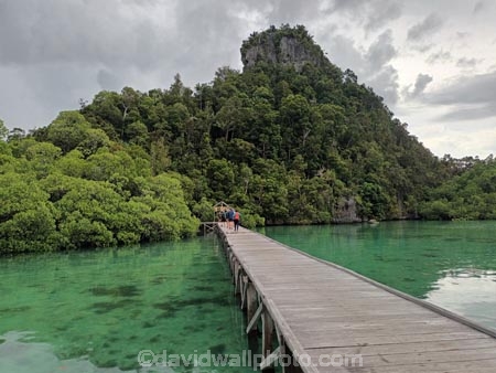 Indonesia;Misool;Raja-Ampat;West-Papua;Southwest-Papua;Misool-Is;Misool-Island;island;islands;Misool-archipelago;inner-archipelago;archipelago;Dapunlol-jetty;Dapunlol-Island;Dapunlol;Dapunlol-area;tourism;travel;jetty;jetties;wharf;wharves;wharfs;dock;pier;piers;docks;Dapunlol-Peak