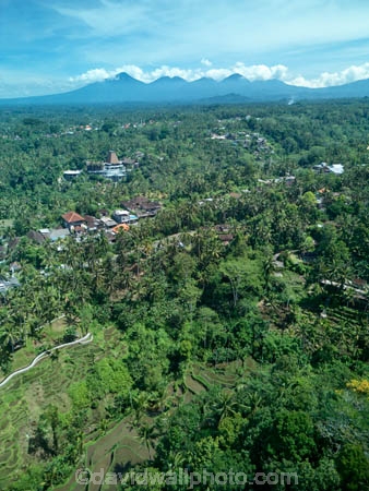 Indonesia;aerial;aerial-photo;aerial-photograph;aerial-photographs;aerial-photography;aerial-photos;aerial-view;aerial-views;aerials;drone-aerial;drone;Ubud;Bali;volcanic-highlands;volcanic;highlands;mountains;volcanoes;Tegallalang;Tegallalang-Rice-Terrace;Tegallalang-Rice-Field;Tegallalang-Rice-Terraces;Tegallalang-Rice-Fields;Tegalalang;rice-terrace;rice-terraces