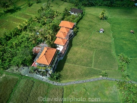 Indonesia;aerial;aerial-photo;aerial-photograph;aerial-photographs;aerial-photography;aerial-photos;aerial-view;aerial-views;aerials;drone-aerial;drone;Ubud;Bali;lush;green;verdant;Kajeng;Kajeng-Rice-Field;Kajeng-Rice-Fields;green;agricultural;agriculture;Asia;Asian;Asian;country;countryside;crop;crops;farm;farming;farmland;farms;field;fields;horticulture;paddock;paddocks;paddy-field;paddy-fields;rice-field;rice-fields;rice-paddies;rice-paddy;rural;Juwuk-Manis-Hotel;Juwuk-Manis;hotel;hotels;accommodation