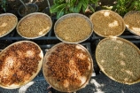 Yogyakarta;Java;Indonesia;Asia;South-East-Asia;Southeast-Asia;Jogja;Jogjakarta;Pawon-Luwak-Coffee;Kopi-Luwak;coffee-beans;beans;Civet-coffee-beans;civet-coffee;luwak-coffee-beans;coffee;Borobudur