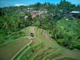 Indonesia;aerial;aerial-photo;aerial-photograph;aerial-photographs;aerial-photography;aerial-photos;aerial-view;aerial-views;aerials;drone-aerial;drone;Ubud;Bali;Tegallalang;Tegallalang-Rice-Terrace;Tegallalang-Rice-Field;Tegallalang-Rice-Terraces;Tegallalang-Rice-Fields;Tegalalang;rice-terrace;rice-terraces;UN-world-heritage-area;UN-world-heritage-site;UNESCO-World-Heritage-area;UNESCO-World-Heritage-Site;united-nations-world-heritage-area;united-nations-world-heritage-site;world-heritage;world-heritage-area;world-heritage-areas;World-Heritage-Park;World-Heritage-site;World-Heritage-Sites;lush;green;verdant