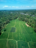 Indonesia;aerial;aerial-photo;aerial-photograph;aerial-photographs;aerial-photography;aerial-photos;aerial-view;aerial-views;aerials;drone-aerial;drone;Ubud;Bali;Tegallalang;Tegallalang-Rice-Terrace;Tegallalang-Rice-Field;Tegallalang-Rice-Terraces;Tegallalang-Rice-Fields;Tegalalang;rice-terrace;rice-terraces;UN-world-heritage-area;UN-world-heritage-site;UNESCO-World-Heritage-area;UNESCO-World-Heritage-Site;united-nations-world-heritage-area;united-nations-world-heritage-site;world-heritage;world-heritage-area;world-heritage-areas;World-Heritage-Park;World-Heritage-site;World-Heritage-Sites;lush;green;verdant