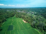 Indonesia;aerial;aerial-photo;aerial-photograph;aerial-photographs;aerial-photography;aerial-photos;aerial-view;aerial-views;aerials;drone-aerial;drone;Ubud;Bali;Tegallalang;Tegallalang-Rice-Terrace;Tegallalang-Rice-Field;Tegallalang-Rice-Terraces;Tegallalang-Rice-Fields;Tegalalang;rice-terrace;rice-terraces;UN-world-heritage-area;UN-world-heritage-site;UNESCO-World-Heritage-area;UNESCO-World-Heritage-Site;united-nations-world-heritage-area;united-nations-world-heritage-site;world-heritage;world-heritage-area;world-heritage-areas;World-Heritage-Park;World-Heritage-site;World-Heritage-Sites;lush;green;verdant