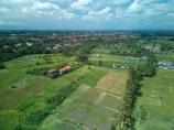 Indonesia;aerial;aerial-photo;aerial-photograph;aerial-photographs;aerial-photography;aerial-photos;aerial-view;aerial-views;aerials;drone-aerial;drone;Ubud;Bali;lush;green;verdant;Kajeng;Kajeng-Rice-Field;Kajeng-Rice-Fields;green;agricultural;agriculture;Asia;Asian;Asian;country;countryside;crop;crops;farm;farming;farmland;farms;field;fields;horticulture;paddock;paddocks;paddy-field;paddy-fields;rice-field;rice-fields;rice-paddies;rice-paddy;rural;Juwuk-Manis-Hotel;Juwuk-Manis;hotel;hotels;accommodation