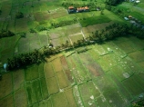 Indonesia;aerial;aerial-photo;aerial-photograph;aerial-photographs;aerial-photography;aerial-photos;aerial-view;aerial-views;aerials;drone-aerial;drone;Ubud;Bali;lush;green;verdant;Kajeng;Kajeng-Rice-Field;Kajeng-Rice-Fields;green;agricultural;agriculture;Asia;Asian;Asian;country;countryside;crop;crops;farm;farming;farmland;farms;field;fields;horticulture;paddock;paddocks;paddy-field;paddy-fields;rice-field;rice-fields;rice-paddies;rice-paddy;rural