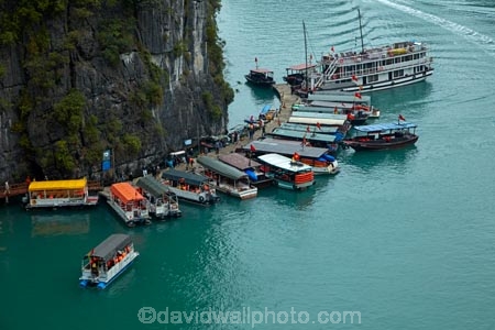 Asia;boat;boats;cruise-boat;cruise-boats;cruising;dock;docks;Ha-Long-Bay;Halong-Bay;jetties;jetty;karst-landscape;limestone-karsts;North-Vietnam;Northern-Vietnam;pier;piers;Qung-Ninh-Province;Quang-Ninh-Province;quay;quays;South-East-Asia;Southeast-Asia;tour-boat;tour-boats;tourism;tourist;tourist-boat;tourist-boats;tourists;travel-destination;UN-world-heritage-area;UN-world-heritage-site;UNESCO-World-Heritage-area;UNESCO-World-Heritage-Site;united-nations-world-heritage-area;united-nations-world-heritage-site;Vnh-H-Long;Vietnam;Vietnamese;waterside;wharf;wharfes;wharves;world-heritage;world-heritage-area;world-heritage-areas;World-Heritage-Park;World-Heritage-site;World-Heritage-Sites
