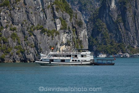 Asia;boat;boats;cruise-boat;cruise-boats;cruising;Ha-Long-Bay;Halong-Bay;karst-landscape;limestone-karsts;North-Vietnam;Northern-Vietnam;Qung-Ninh-Province;Quang-Ninh-Province;South-East-Asia;Southeast-Asia;tour-boat;tour-boats;tourism;tourist;tourist-boat;tourist-boats;tourists;travel-destination;UN-world-heritage-area;UN-world-heritage-site;UNESCO-World-Heritage-area;UNESCO-World-Heritage-Site;united-nations-world-heritage-area;united-nations-world-heritage-site;Vnh-H-Long;Vietnam;Vietnamese;world-heritage;world-heritage-area;world-heritage-areas;World-Heritage-Park;World-Heritage-site;World-Heritage-Sites