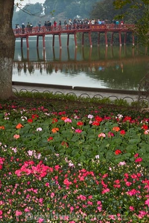 Asia;Asian;bridge;bridges;Cu-Thê-Húc;Cau-The-Huc;flower-bed;flower-garden;flower-gardens;flowers;foot-bridge;foot-bridges;footbridge;footbridges;H-Guom;H-Hoàn-Kim;Hanoi;heritage;historic;historic-place;historic-places;historical;historical-place;historical-places;history;Hoan-Kiem-Lake;Jade-Island;lake;Lake-of-the-Restored-Sword;Lake-of-the-Returned-Sword;lakes;Ngoc-Son-Temple;old;pedestrian-bridge;pedestrian-bridges;people;person;pink-flowers;Red-Bridge;South-East-Asia;Southeast-Asia;Sword-Lake;Temple-of-the-Jade-Mountain;The-Huc-Bridge;tourism;tourist;tourists;tradition;traditional;Vietnam;Vietnamese;water;wooden-bridge;wooden-bridges
