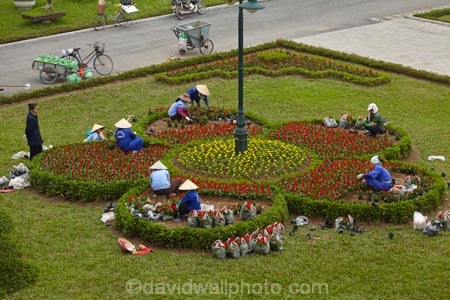Asia;Asian;flower-garden;flower-gardens;gardener;gardeners;Hanoi;Hanoi-Citadel;Imperial-Citadel;Imperial-Citadel-of-Thang-Long;Imperial-City;people;person;South-East-Asia;Southeast-Asia;UN-world-heritage-area;UN-world-heritage-site;UNESCO-World-Heritage-area;UNESCO-World-Heritage-Site;united-nations-world-heritage-area;united-nations-world-heritage-site;Vietnam;Vietnamese;world-heritage;world-heritage-area;world-heritage-areas;World-Heritage-Park;World-Heritage-site;World-Heritage-Sites