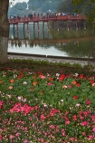 Asia;Asian;bridge;bridges;Cu-Thê-Húc;Cau-The-Huc;flower-bed;flower-garden;flower-gardens;flowers;foot-bridge;foot-bridges;footbridge;footbridges;H-Guom;H-Hoàn-Kim;Hanoi;heritage;historic;historic-place;historic-places;historical;historical-place;historical-places;history;Hoan-Kiem-Lake;Jade-Island;lake;Lake-of-the-Restored-Sword;Lake-of-the-Returned-Sword;lakes;Ngoc-Son-Temple;old;pedestrian-bridge;pedestrian-bridges;people;person;pink-flowers;Red-Bridge;South-East-Asia;Southeast-Asia;Sword-Lake;Temple-of-the-Jade-Mountain;The-Huc-Bridge;tourism;tourist;tourists;tradition;traditional;Vietnam;Vietnamese;water;wooden-bridge;wooden-bridges
