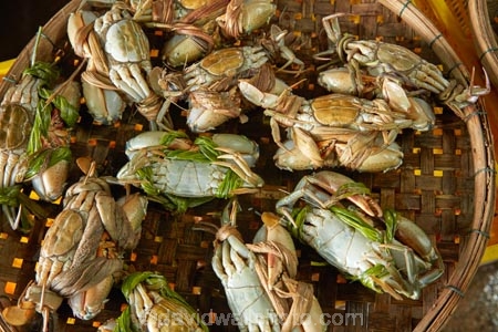 Asia;Central-Market;Central-Sea-region;crab;crabs;fish-market;fish-markets;Hi-An;Hoi-An;Hoi-An-Central-Market;Hoi-An-Fish-Market;Hoi-An-Market;Hoi-An-Old-Town;Hoi-An-Seafood-Market;Hoian;Indochina;market;markets;old-town;seafood-market;seafood-markets;South-East-Asia;Southeast-Asia;UN-world-heritage-area;UN-world-heritage-site;UNESCO-World-Heritage-area;UNESCO-World-Heritage-Site;united-nations-world-heritage-area;united-nations-world-heritage-site;Vietnam;Vietnamese;world-heritage;world-heritage-area;world-heritage-areas;World-Heritage-Park;World-Heritage-site;World-Heritage-Sites