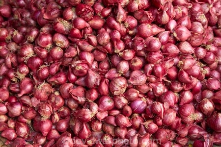 commerce;commercial;Dong-Ba-Market;French-red-shallot;French-red-shallots;fresh-produce;Hu;Hue;market;market-place;market-stall;market-stalls;market_place;marketplace;marketplaces;markets;North-Central-Coast;onion;onions;produce;produce-market;produce-markets;produce-stall;red-shallot;red-shallots;retail;retailer;retailers;shallot;shallots;shop;shopping;shops;stall;stalls;street-scene;street-scenes;Tha-ThiÃªn_Hu-Province;Thua-Thien_Hue-Province;vege;veges;vegetable;vegetable-stall;vegetable-stalls;vegetables;Vietnam;Vietnamese;Asia