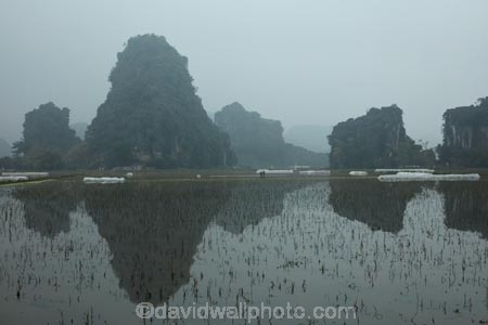 agricultural;agriculture;Asia;cloud;cloudy;country;countryside;crop;crops;farm;farming;farmland;farms;field;fields;horticulture;karst-landscape;karst-topography;karsts;limestone-karst;limestone-karst-landscape;limestone-karsts;limestone-landscape;meadow;meadows;mist;mists;misty;Ninh-Binh;Ninh-BÃ¬nh-province;Northern-Vietnam;paddock;paddocks;paddy-field;paddy-fields;pasture;pastures;Red-River-Delta;rice-field;rice-fields;rice-paddies;rice-paddy;rock-formation;rock-formations;rural;South-East-Asia;Southeast-Asia;Trang-An;Trang-An-Landscape-Complex;Trang-An-Lanscape-Complex;Trang-An-World-Heritage-Site;TrÃ ng-An;UN-world-heritage-area;UN-world-heritage-site;UNESCO-World-Heritage-area;UNESCO-World-Heritage-Site;united-nations-world-heritage-area;united-nations-world-heritage-site;Vietnam;Vietnamese;water;world-heritage;world-heritage-area;world-heritage-areas;World-Heritage-Park;World-Heritage-site;World-Heritage-Sites