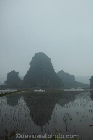 agricultural;agriculture;Asia;cloud;cloudy;country;countryside;crop;crops;farm;farming;farmland;farms;field;fields;horticulture;karst-landscape;karst-topography;karsts;limestone-karst;limestone-karst-landscape;limestone-karsts;limestone-landscape;meadow;meadows;mist;mists;misty;Ninh-Binh;Ninh-BÃ¬nh-province;Northern-Vietnam;paddock;paddocks;paddy-field;paddy-fields;pasture;pastures;Red-River-Delta;rice-field;rice-fields;rice-paddies;rice-paddy;rock-formation;rock-formations;rural;South-East-Asia;Southeast-Asia;Trang-An;Trang-An-Landscape-Complex;Trang-An-Lanscape-Complex;Trang-An-World-Heritage-Site;TrÃ ng-An;UN-world-heritage-area;UN-world-heritage-site;UNESCO-World-Heritage-area;UNESCO-World-Heritage-Site;united-nations-world-heritage-area;united-nations-world-heritage-site;Vietnam;Vietnamese;water;world-heritage;world-heritage-area;world-heritage-areas;World-Heritage-Park;World-Heritage-site;World-Heritage-Sites