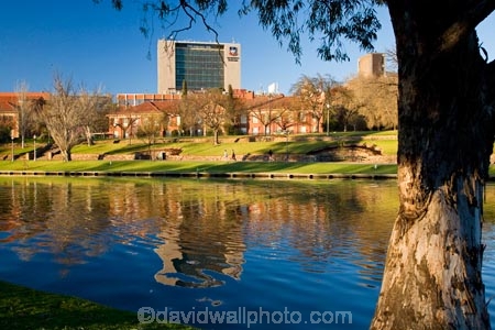 Adelaide;Adelaide-University;Australasian;Australia;Australian;calm;eucalypt;eucalypts;eucalyptus;eucalytis;gum;gum-tree;gum-trees;gums;lake;Lake-Torrens;lakes;placid;quiet;reflection;reflections;river;River-Torrens;rivers;S.A.;SA;serene;smooth;South-Australia;State-Capital;still;The-University-of-Adelaide;Torrens-Lake;Torrens-River;tranquil;tree;trees;University-of-Adelaide;water