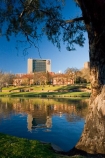 Adelaide;Adelaide-University;Australasian;Australia;Australian;calm;eucalypt;eucalypts;eucalyptus;eucalytis;gum;gum-tree;gum-trees;gums;lake;Lake-Torrens;lakes;placid;quiet;reflection;reflections;river;River-Torrens;rivers;S.A.;SA;serene;smooth;South-Australia;State-Capital;still;The-University-of-Adelaide;Torrens-Lake;Torrens-River;tranquil;tree;trees;University-of-Adelaide;water